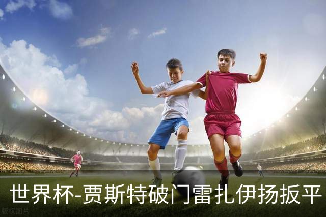 世界杯-贾斯特破门雷扎伊扬扳平 半场伊朗1-1新西兰